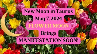 New Moon in Taurus May 7, 2024 🪻FLOWER MOON BRINGS MANIFESTATION SOON! 🌸🌺🌻🌼🪷🪻(Astrology Forecast)