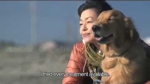 映画「犬に名前をつける日」英字幕つき予告（ドラマ編）