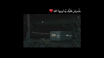 حالات واتس||القارئ/سالم الرويلي||سورة/القلم||تصاميم قران||انستقرام||استوري||مقاطع قصيرة