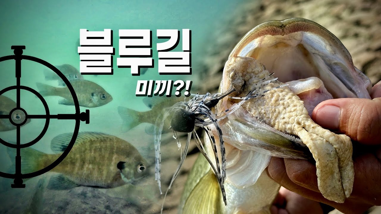 작은 소류지 블루길을 노리는 거대 배스! 어떤 루어에 반응 할까?