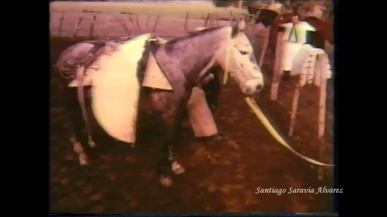 El arriero va - Los Chalchaleros