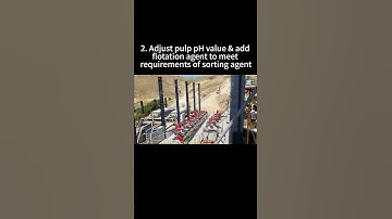 Gold Ore Flotation Process