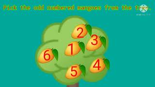 understanding odd numbers by pictures