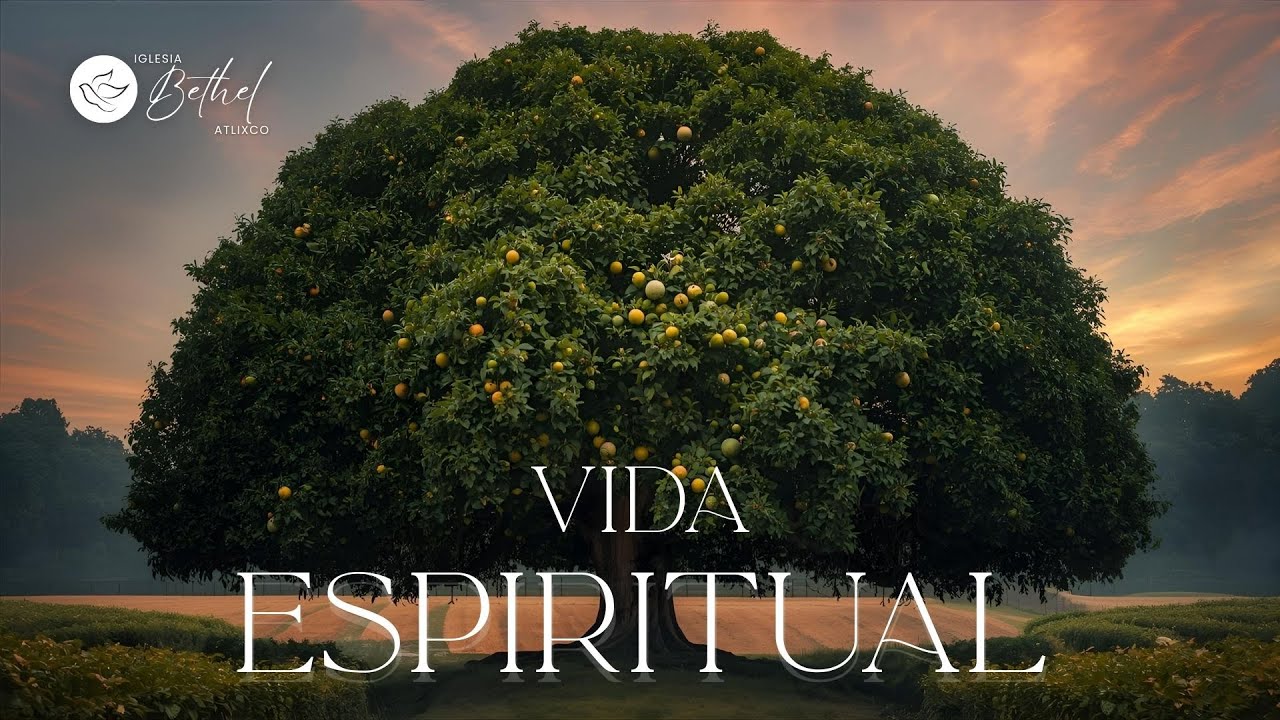 Reunión del 16 de Noviembre de 2025 || Vida Espiritual || Ps. Victor Manuel