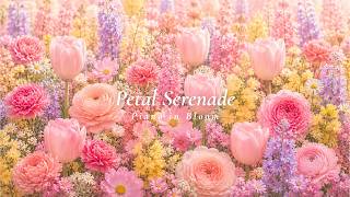 Petal Serenade | Gentle Piano for Studying, Working and Unwinding
