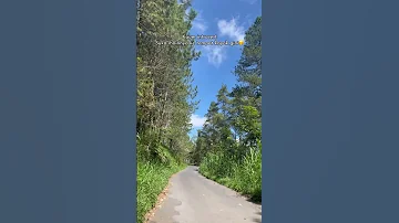 Tempatnya Si Introvert 