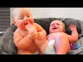 Funny babies fails  funny kids 2024  cute babies  wahnum funny channel