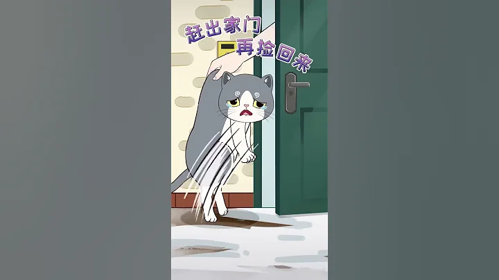 王多喵：貓咪最害怕的懲罰方式，沒用還讓貓受罪！你做過幾條？ - 天天要聞