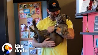 Guy Brings His 20 Rescue Dogs To The Groomers | The Dodo