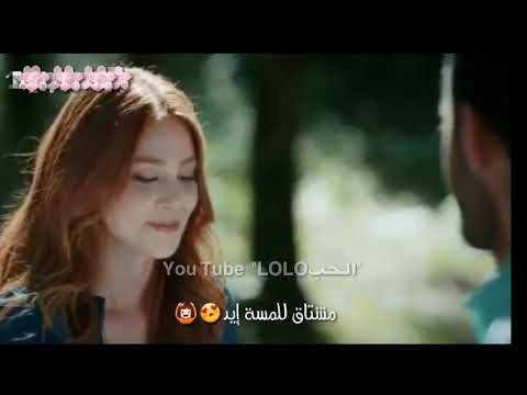 حبيبي وأنت بعيد تامر حسني عمر ودفنة حالات