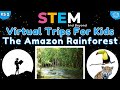 Amazon Rainforest Virtual Field Trip Quiz