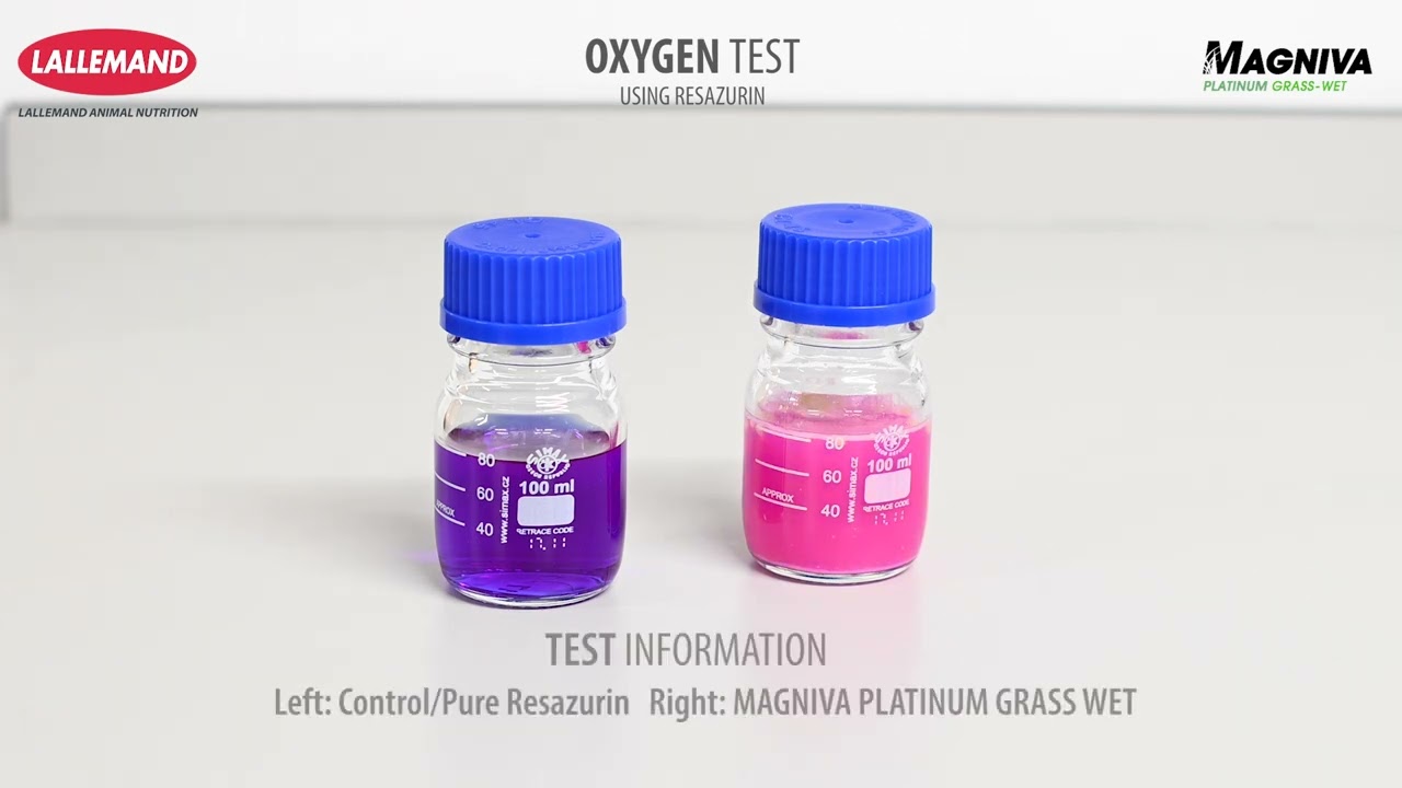 MAGNIVA Oxygen Scavenging Test: Optimise Silage Stability