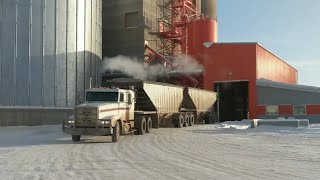 Part 1: hauling our contracted wheat