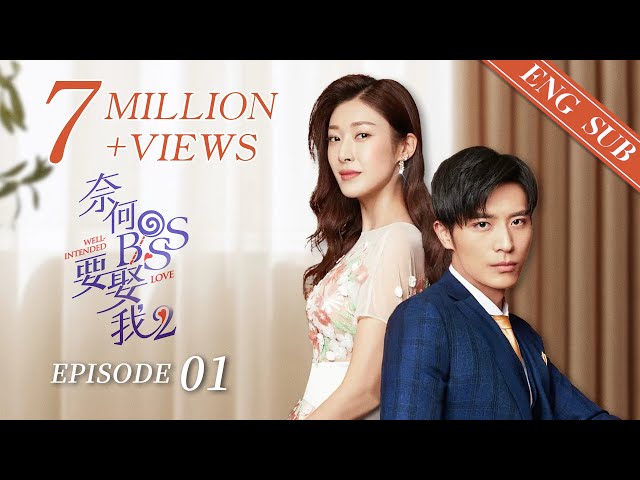 DVD Chinese Drama Well Intended Love 奈何BOSS要娶我 Eps 1-20 END