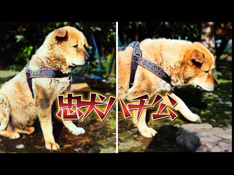 1933年 忠犬ハチ公をAIで動かしてみたらPART2 - YouTube