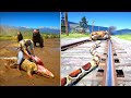 RDR2 All Animals Attack - [Main Animal/Event] | Epic Wild Moments"Ep.28