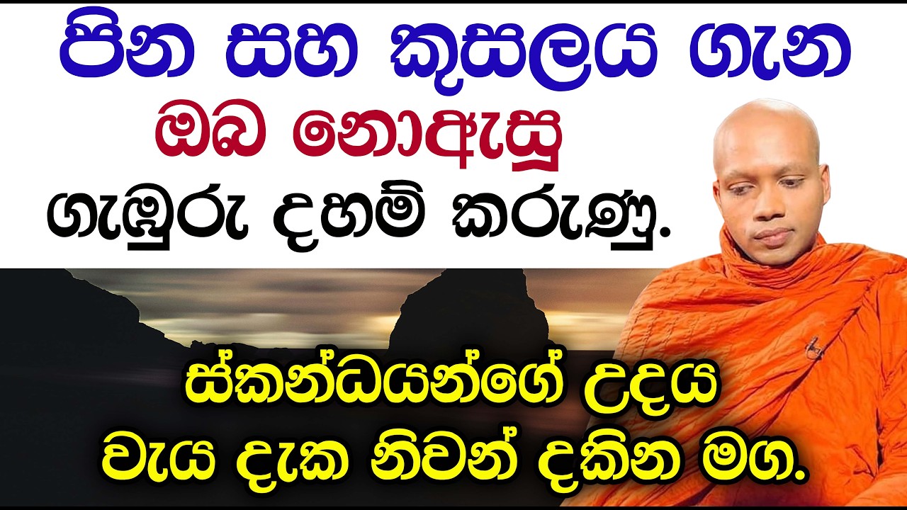 පින සහ කුසලය ගැන ඔබ නොඇසූ ගැඹුරු දහම් කරුණු | Hasalaka Seelavimala Thero | EP H 71