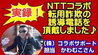 NTTコラボ転用詐欺の誘導電話