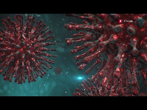 #ახალიკვირა 48 საათი ბოქსირებულ განყოფილებაში