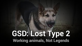 GSD: Lost Type II – Just Dogs, Not Legends