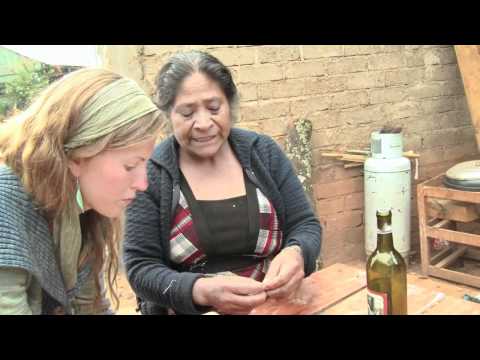 Video: Cómo Hacer Tintura De Pimiento