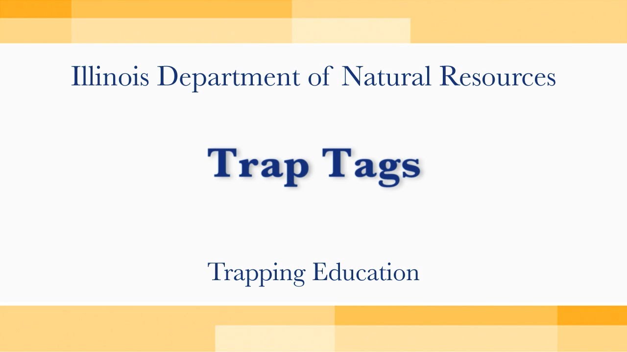 Trap Tags 