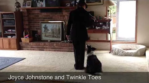 Port Moody's Joyce Johnstone and her dancing dog T...