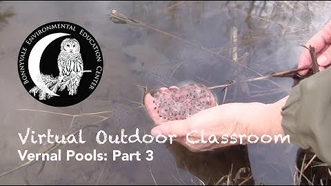 Vernal Pools Part 3