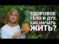 Питание Повышающее Осознанность. Как питаться практикующему Медитацию?