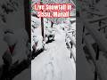 Manali Sissu Snowfall condition today #snowfall #sissuvalley #ataltunnel #travel #manali #shorts #yt