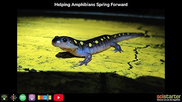 Citizen Science Podcast: Helping Amphibians Spring Forward (aired on 2023-03-27)