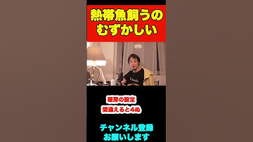 Thumbnail of 癒し効果があると聞いたので熱帯魚飼おうと思いますがおすすめありますか【ひろゆき】#shorts #熱帯魚