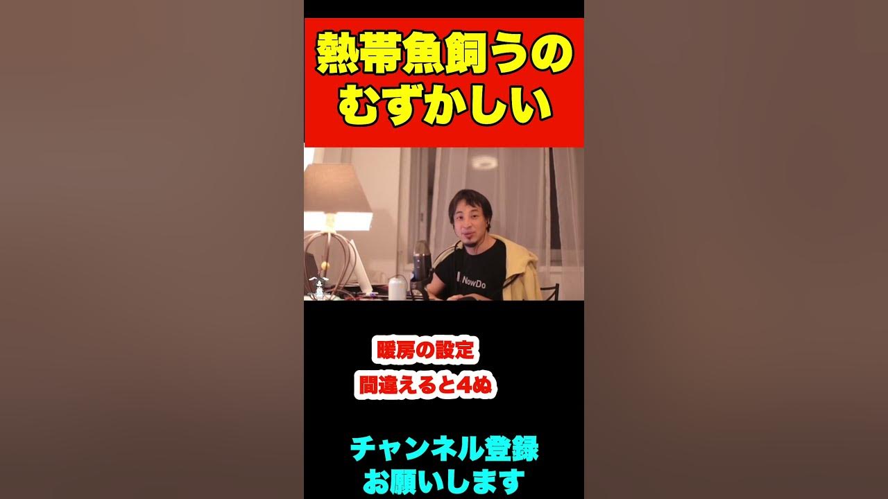 癒し効果があると聞いたので熱帯魚飼おうと思いますがおすすめありますか【ひろゆき】#shorts #熱帯魚