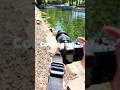 Visiting The World's Shortest River!