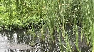 IMG 3259