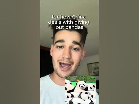 Were Do Zoos Get There Pandas From ??? #funfacts #intrestingfacts - YouTube