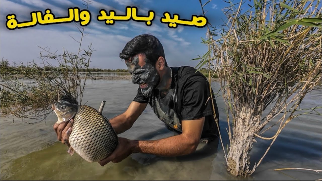 الماي نشف والسمتي كلة طفح عملاق