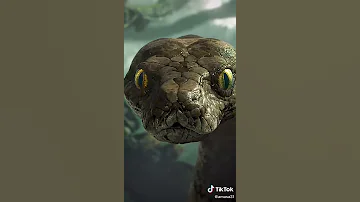 Amazing Snake Mapuka Anakonda 2021 Nyoka Mukuu Dunian Amazing Snake DJ Afro 