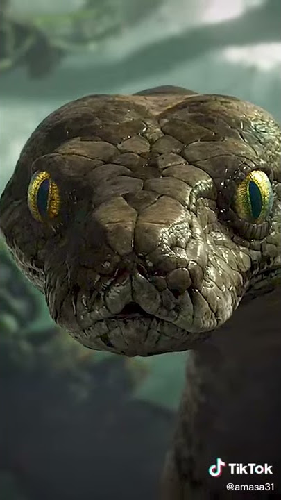 amazing snake mapuka anakonda 2021 nyoka mukuu dunian amazing snake DJ afro