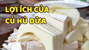Lợi ích của củ hủ dừa đối với sức khỏe | CỦ HỦ DỪA CHÍ TÂM 0946614380