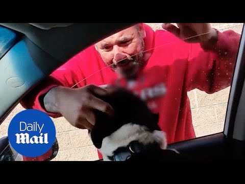Heartwarming moment man is reunited with his lost dog - Daily Mail ...