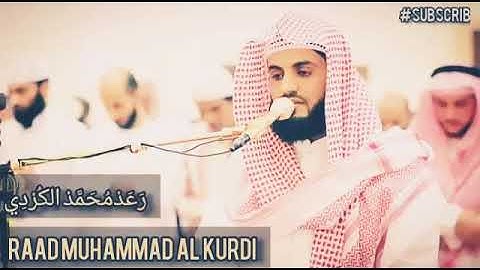 surah Namal سورة النمل || Tilawat e Quran || Raad Muhammad Al Kurdi