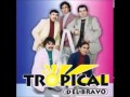 Tropical del Bravo cumbias