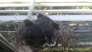 20171027T1530~1600