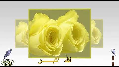 47 سورة محمد كاملة للقارئ الشيخ هاني الرفاعي