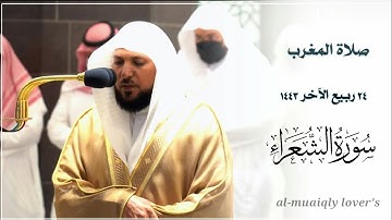 بأداء كردي فريد يلامس القلب يرتل الشيخ ماهر المعيقلي من سورة الشعراء صلاة المغرب 24 ربيع اﻵخر 1443 |