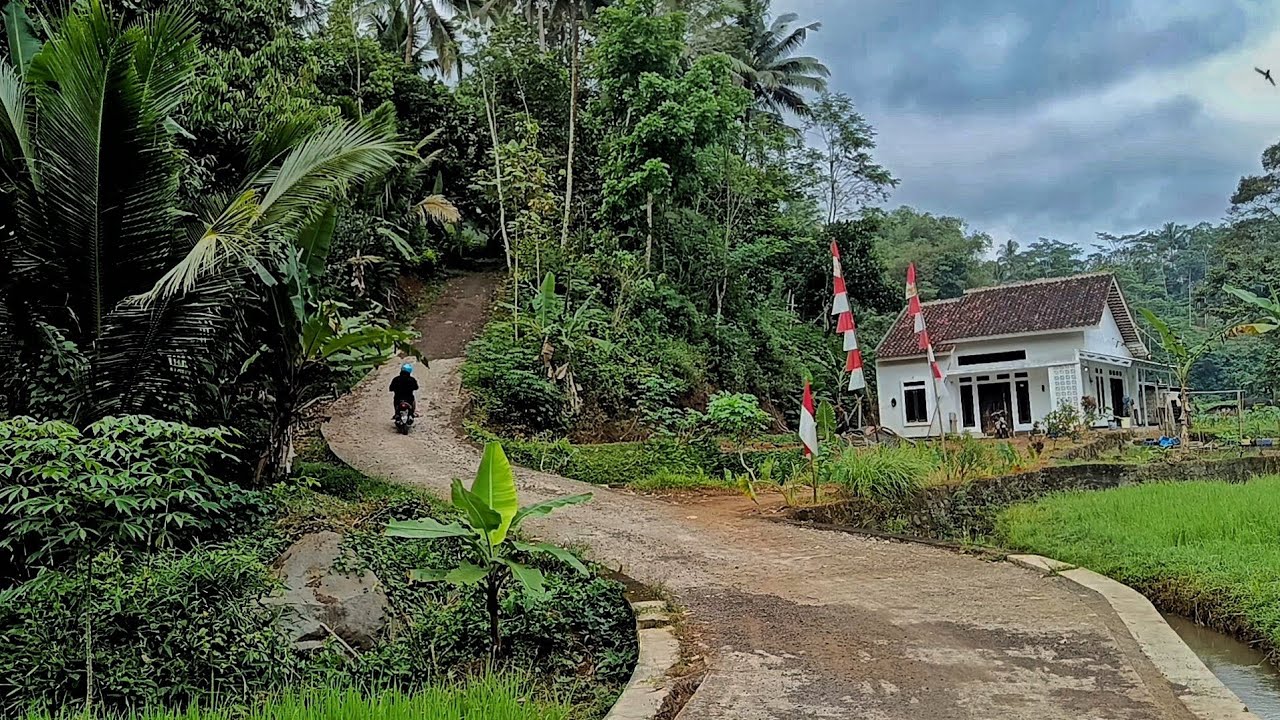 inilah suasana pagi yg tenang dan damai yang Takan pernah di temui di perkotaan