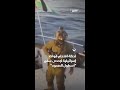 لحظة اقتحام قوات إسرائيلية لإحدى سفن أسطول الصمود 