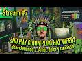 NO HAY GUION PERO HAY WEED 🍁 Reaccionando a: Amor, dolor y cannabis | Fumi Stream #07