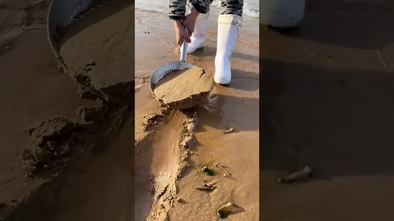 Chinese favorite food 